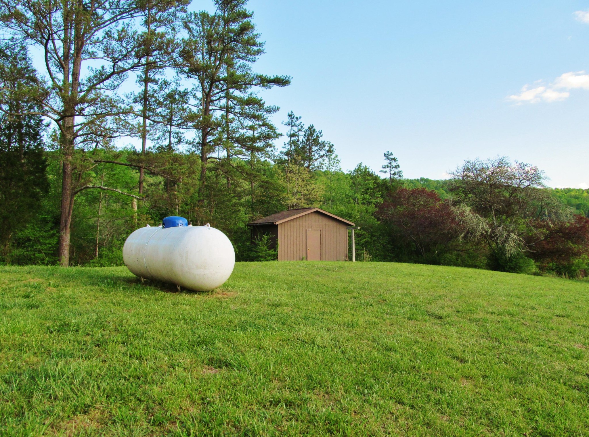 369 Charles Butler Road Oliver Springs, TN 37840 - Photo 7 of 26 Gallery Image 7