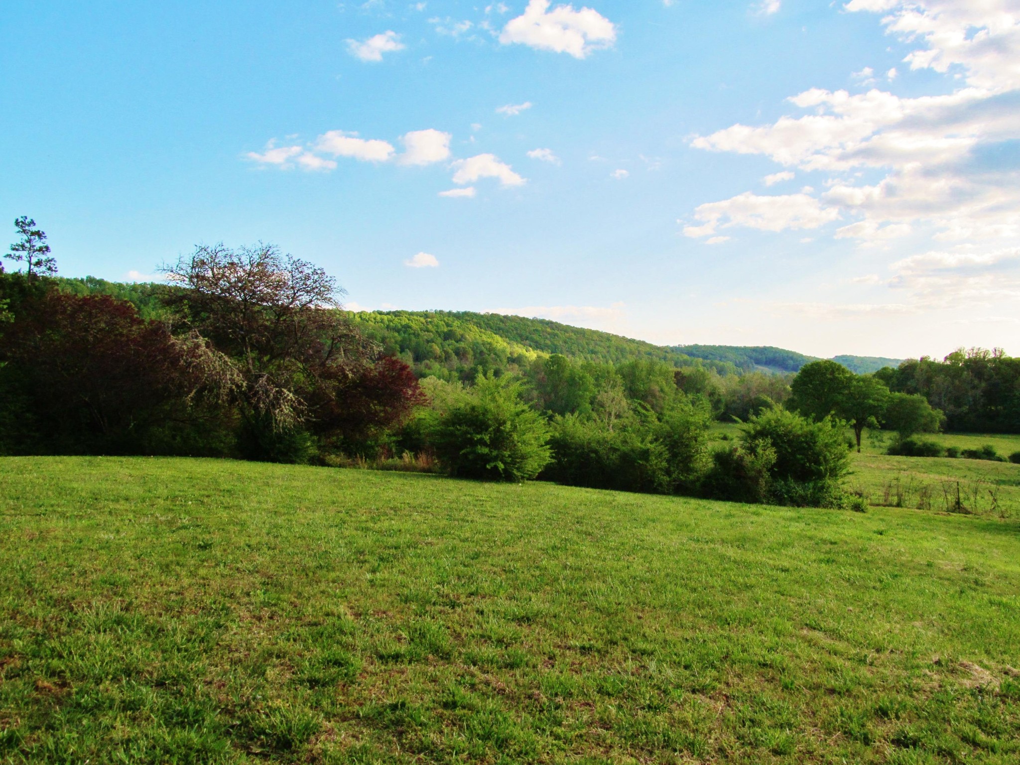 369 Charles Butler Road Oliver Springs, TN 37840 - Photo 8 of 26 Gallery Image 8