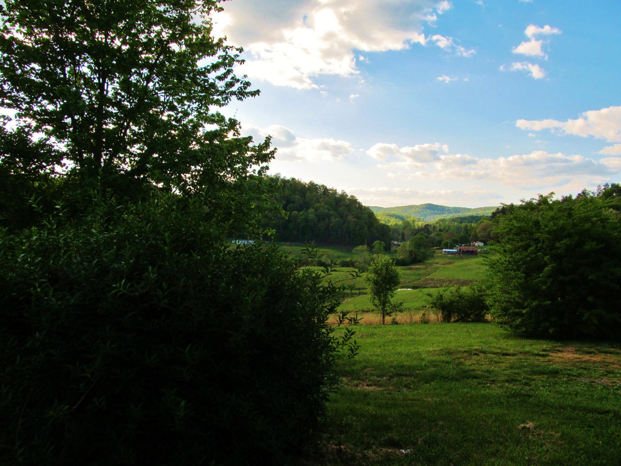 369 Charles Butler Road Oliver Springs, TN 37840 - Photo 9 of 26 Gallery Image 9
