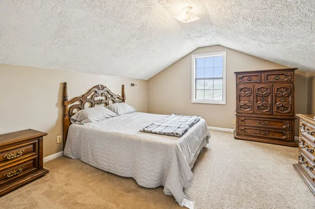 a view of a big yard with potted plants