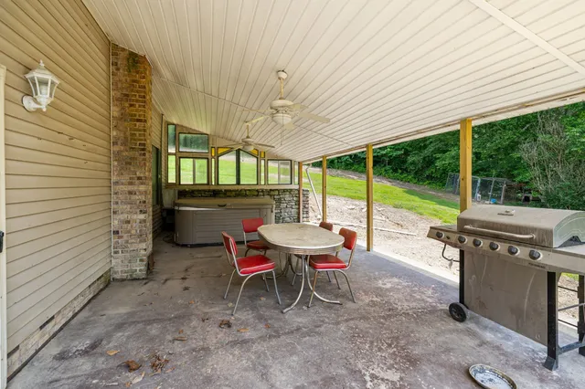 a view of a yard with a tree