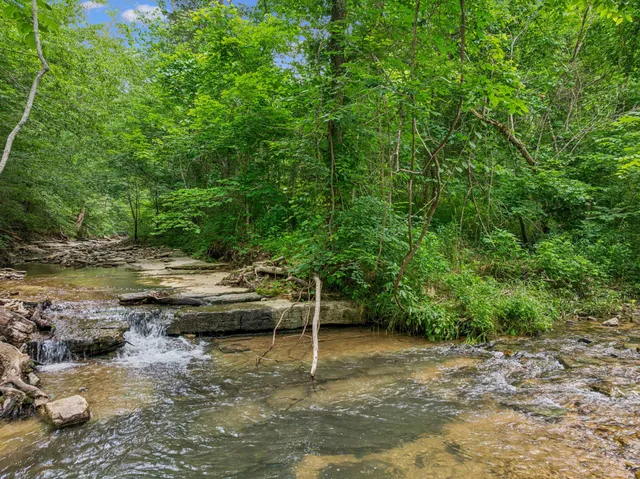 a view of swimming pool with a yard
