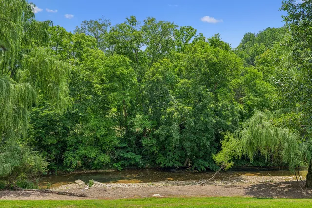 a view of a big yard with large trees