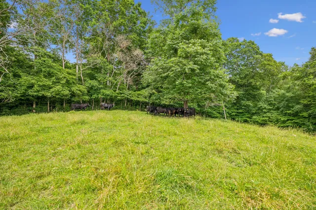a backyard of a house with yard and outdoor seating