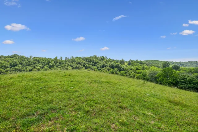 an aerial view of a house with a yard and lake view