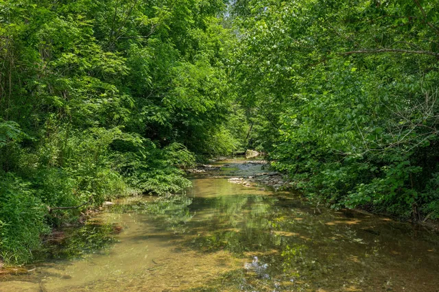 a backyard of a house with lots of green space and lake view