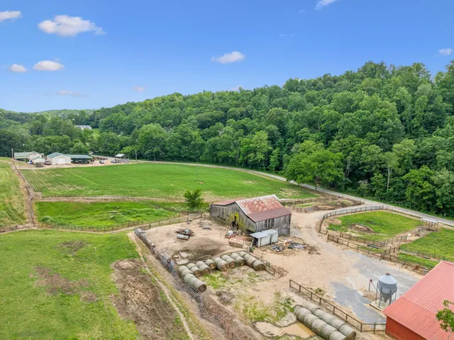 a view of a swimming pool with a yard