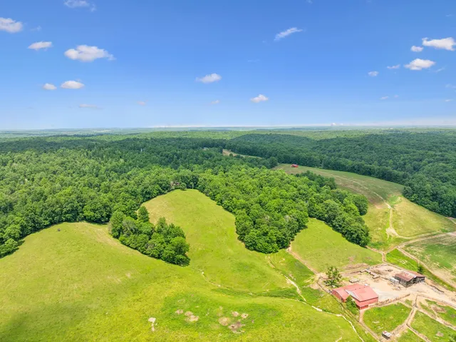 a view of a yard with an outdoor space