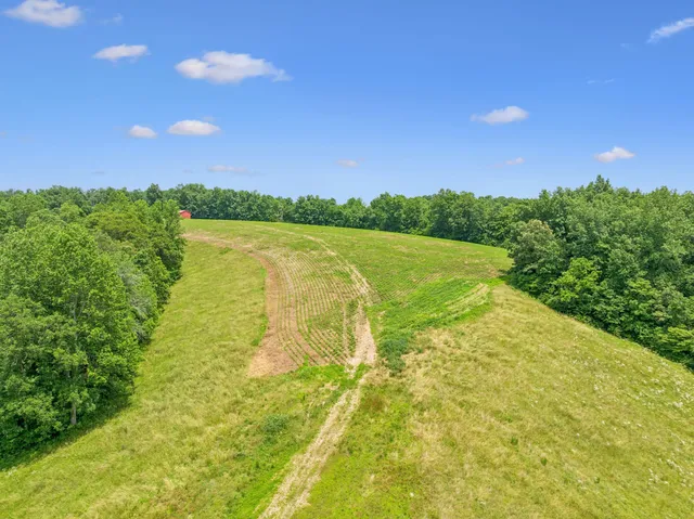 $3,250,000 | 8663 Dog Creek Road, Primm Springs, TN 38476