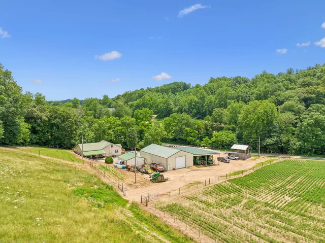 $3,250,000 | 8663 Dog Creek Road, Primm Springs, TN 38476
