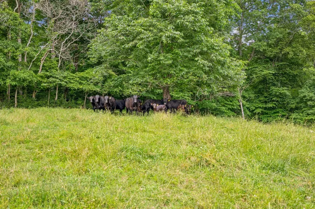 a house view with a outdoor space