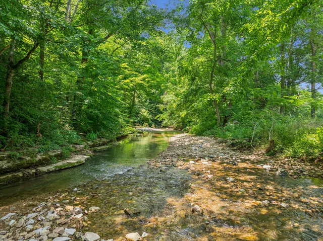 $3,250,000 | 8663 Dog Creek Road, Primm Springs, TN 38476