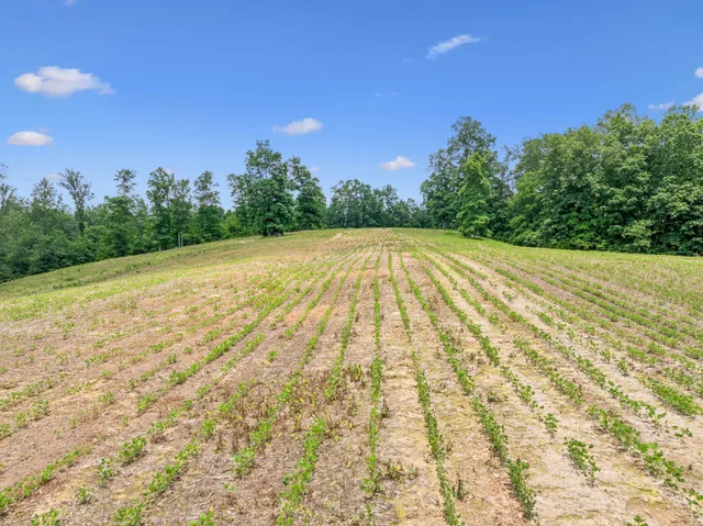 $3,250,000 | 8663 Dog Creek Road, Primm Springs, TN 38476