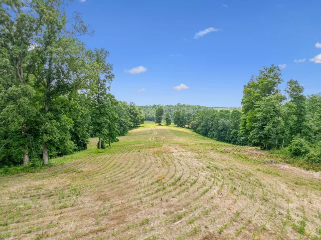$3,250,000 | 8663 Dog Creek Road, Primm Springs, TN 38476
