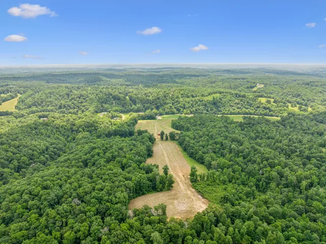 $3,250,000 | 8663 Dog Creek Road, Primm Springs, TN 38476
