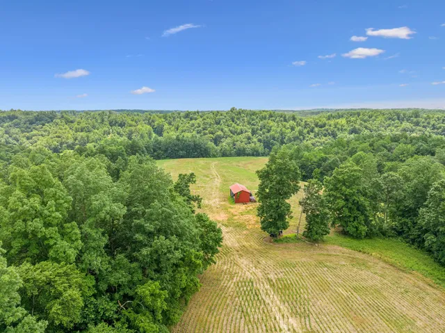 $3,250,000 | 8663 Dog Creek Road, Primm Springs, TN 38476