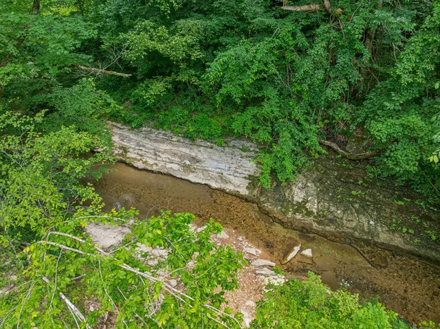 $3,250,000 | 8663 Dog Creek Road, Primm Springs, TN 38476