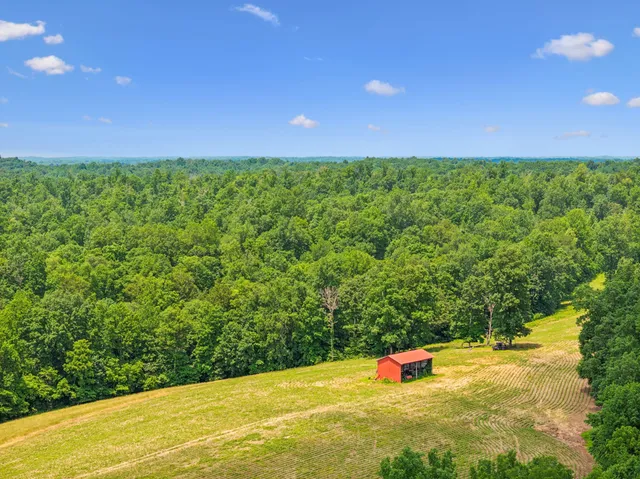 $3,250,000 | 8663 Dog Creek Road, Primm Springs, TN 38476