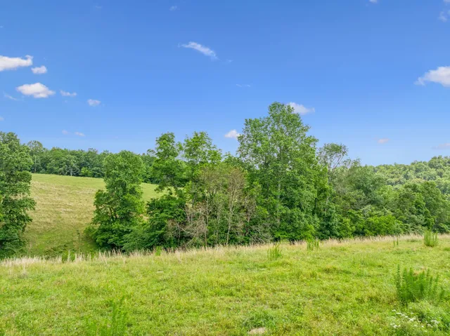 $3,250,000 | 8663 Dog Creek Road, Primm Springs, TN 38476