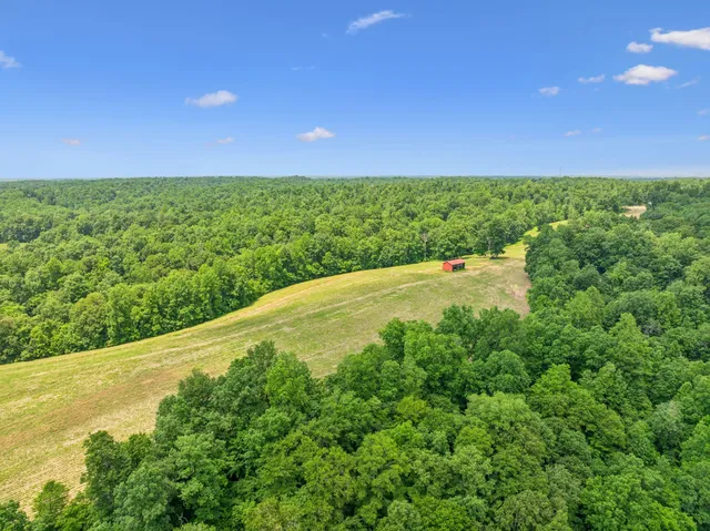 $3,250,000 | 8663 Dog Creek Road, Primm Springs, TN 38476