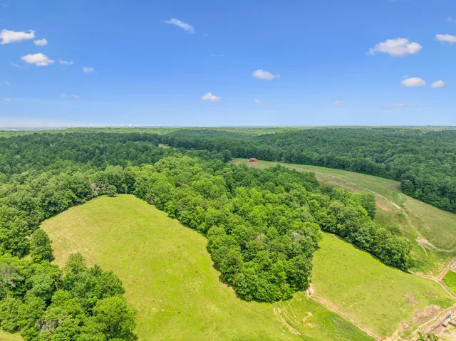 $3,250,000 | 8663 Dog Creek Road, Primm Springs, TN 38476