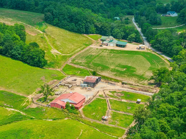 $3,250,000 | 8663 Dog Creek Road, Primm Springs, TN 38476