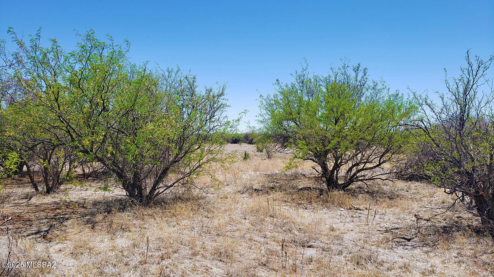 5.17-ac East Rock Road, Unit 133 Pearce, AZ 85625 - Photo 13 of 15