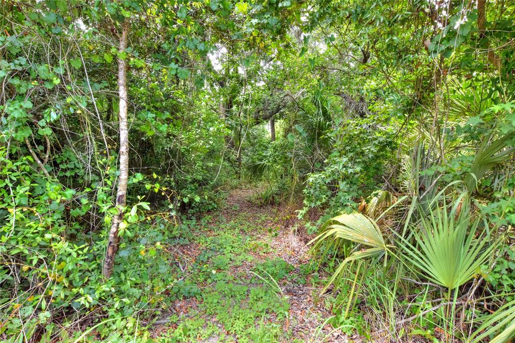 600 Thompson Road Lithia, FL 33547 - Photo 4 of 6