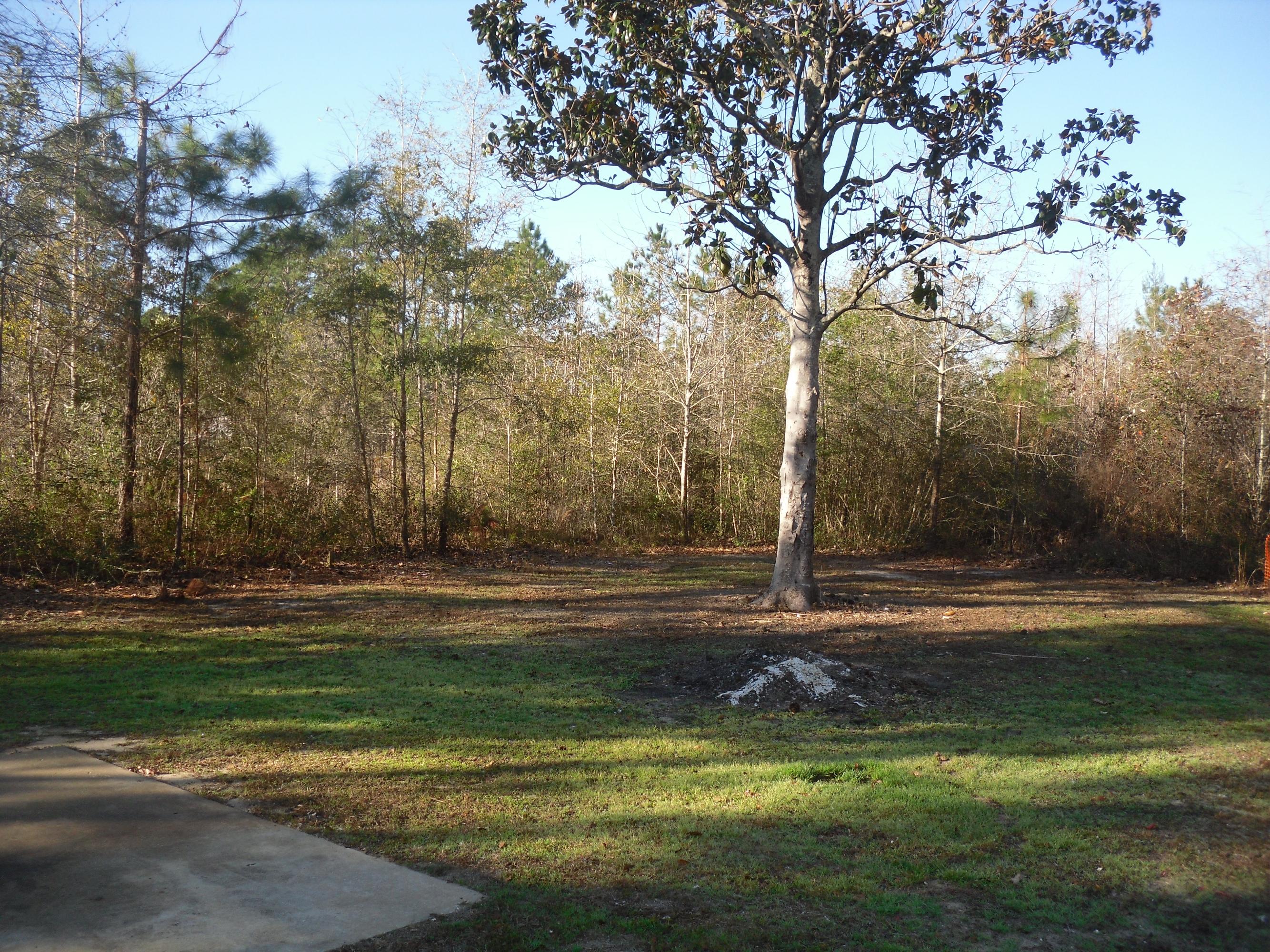 292 Old Jolly Bay Road Freeport, FL 32439 - Photo 13 of 14 Gallery Image 13