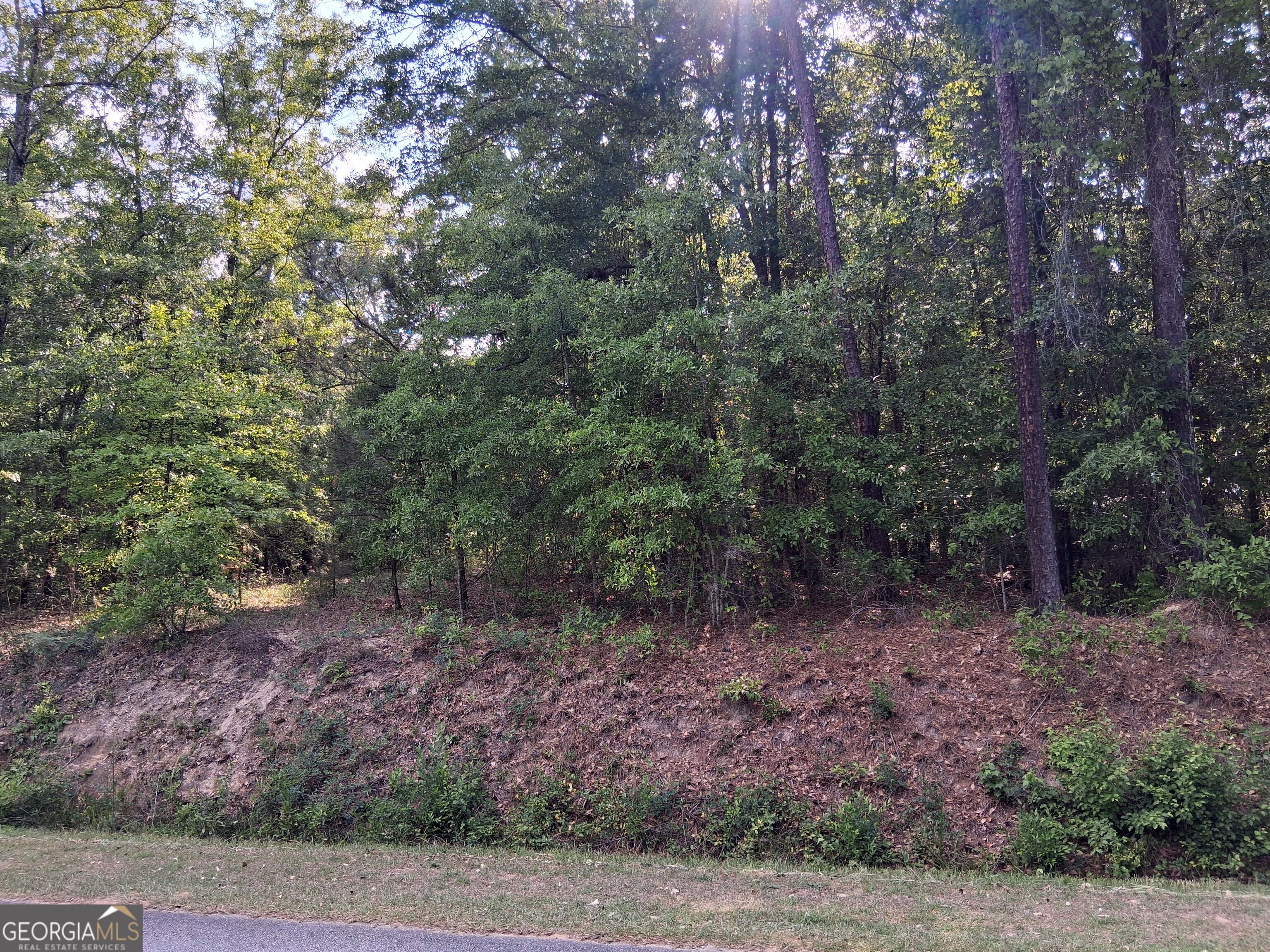 6361 Britt Road Macon, GA 31216 - Photo 2 of 9