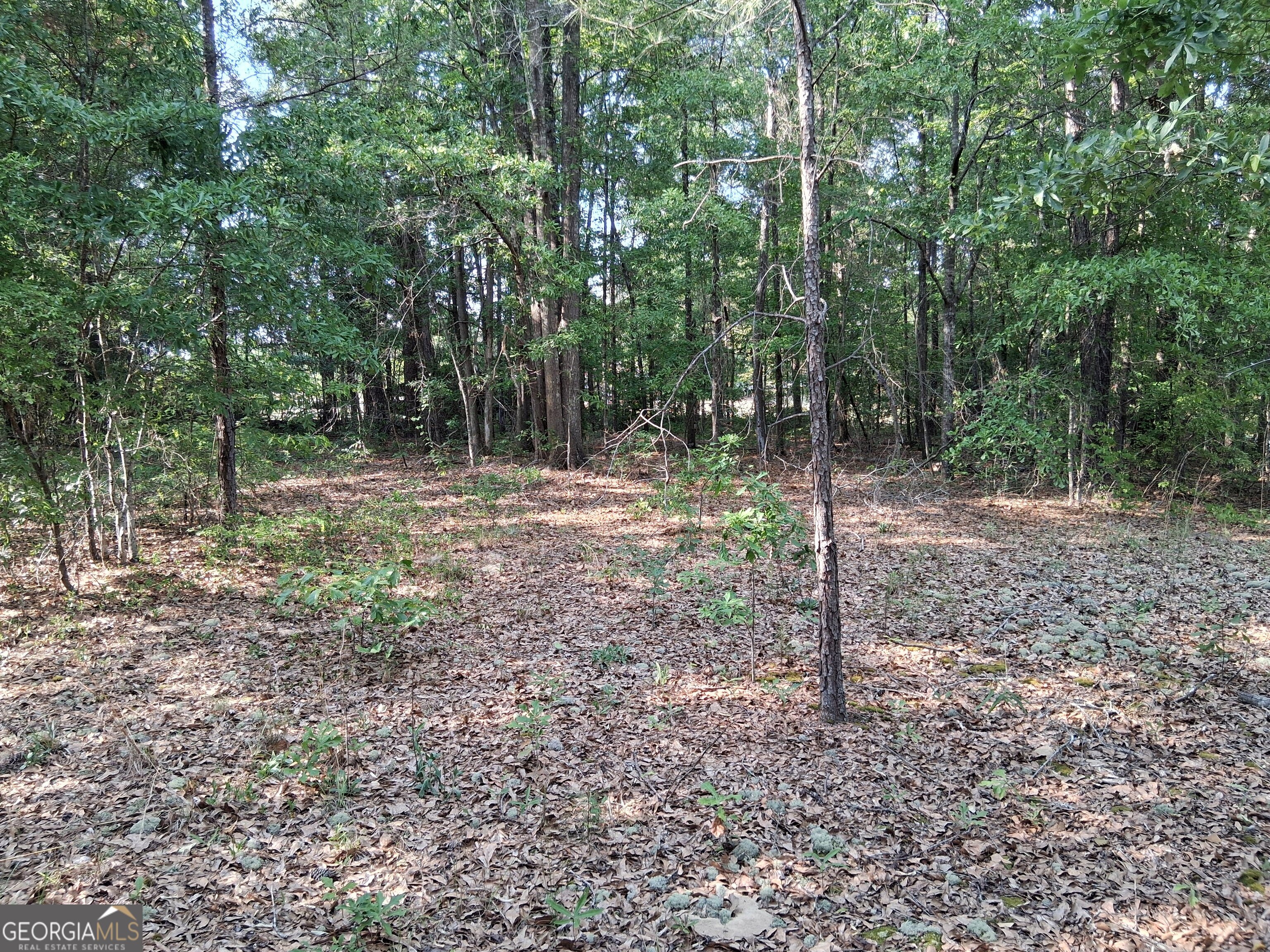 6361 Britt Road Macon, GA 31216 - Photo 5 of 9