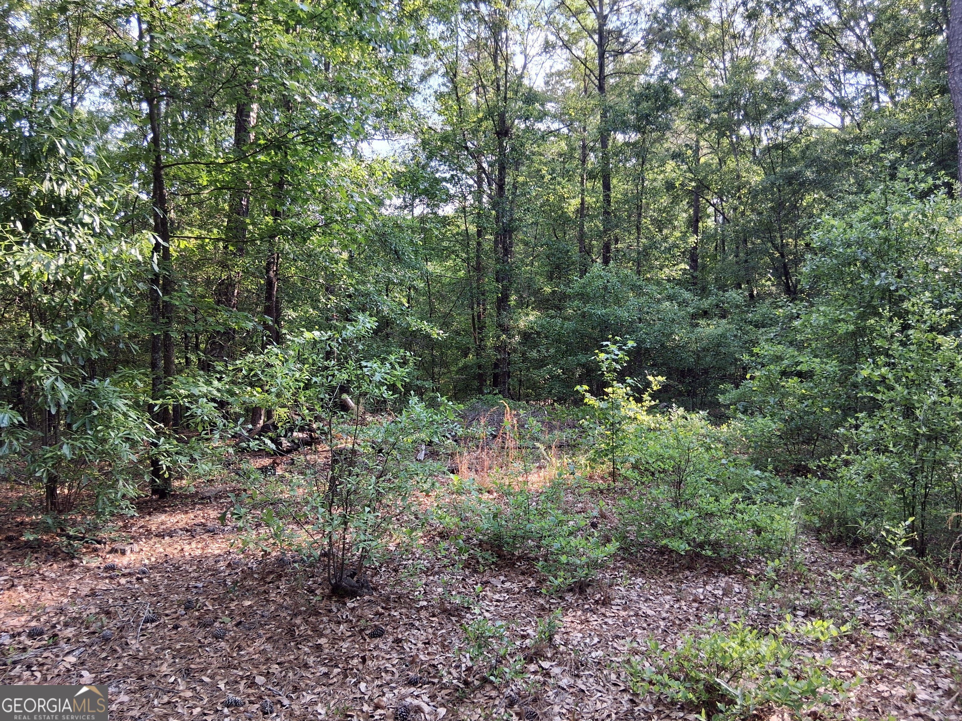 6361 Britt Road Macon, GA 31216 - Photo 7 of 9