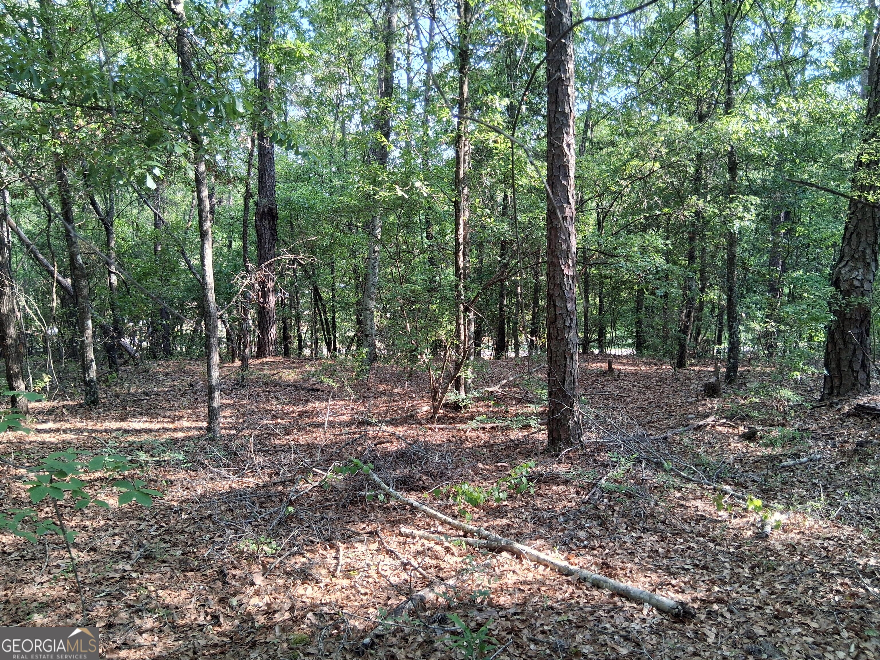 6361 Britt Road Macon, GA 31216 - Photo 8 of 9