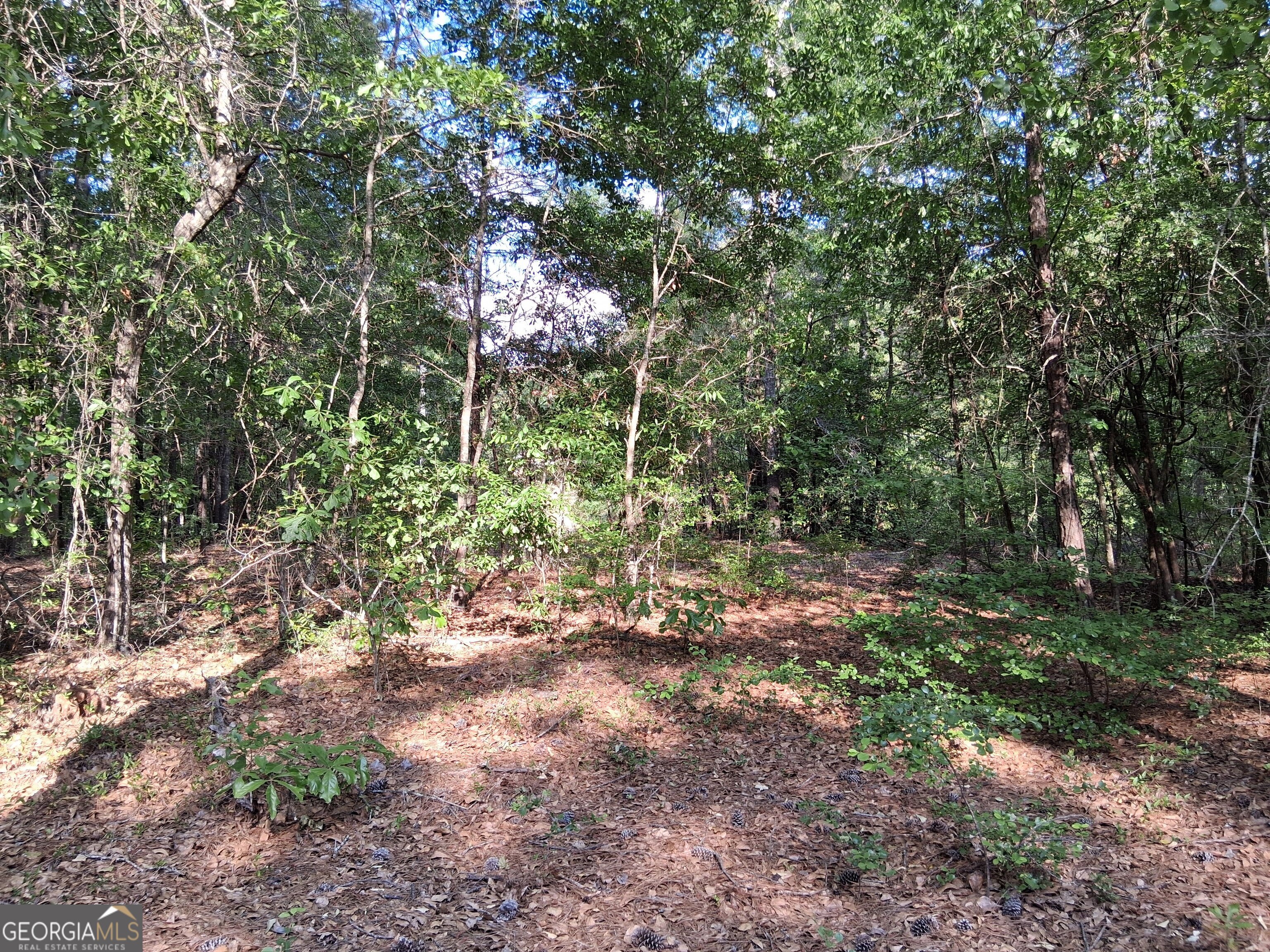 6361 Britt Road Macon, GA 31216 - Photo 9 of 9
