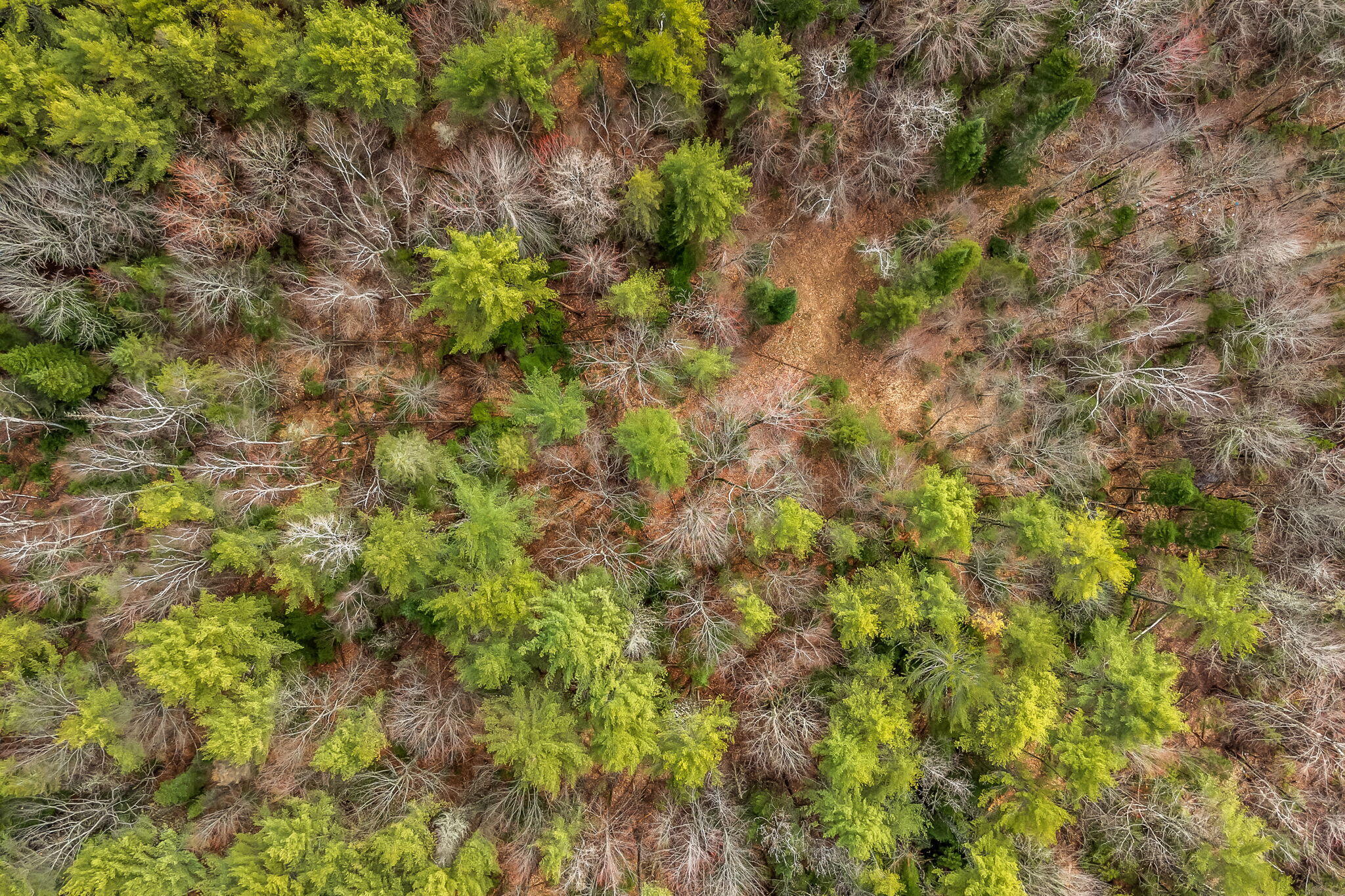 1 Union Street Brewer, ME 04412 - Photo 14 of 19 5-web-or-mls-3279-union-st