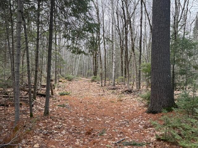 1 Union Street Brewer, ME 04412 - Photo 2 of 19 IMG_1884