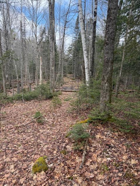 1 Union Street Brewer, ME 04412 - Photo 3 of 19 IMG_1865