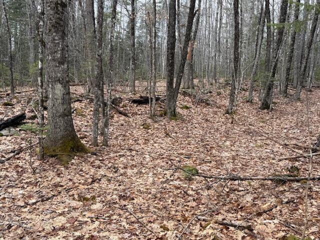 1 Union Street Brewer, ME 04412 - Photo 4 of 19 IMG_1886