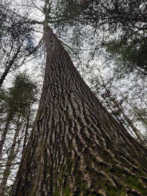 1 Union Street Brewer, ME 04412 - Photo 5 of 19 IMG_1893