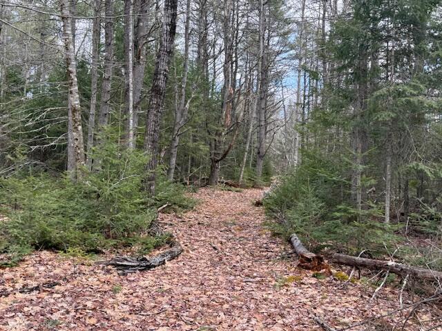 1 Union Street Brewer, ME 04412 - Photo 6 of 19 IMG_1885