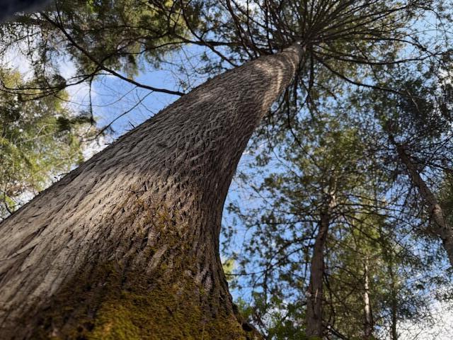 1 Union Street Brewer, ME 04412 - Photo 8 of 19 IMG_1857