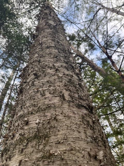 1 Union Street Brewer, ME 04412 - Photo 9 of 19 IMG_1853