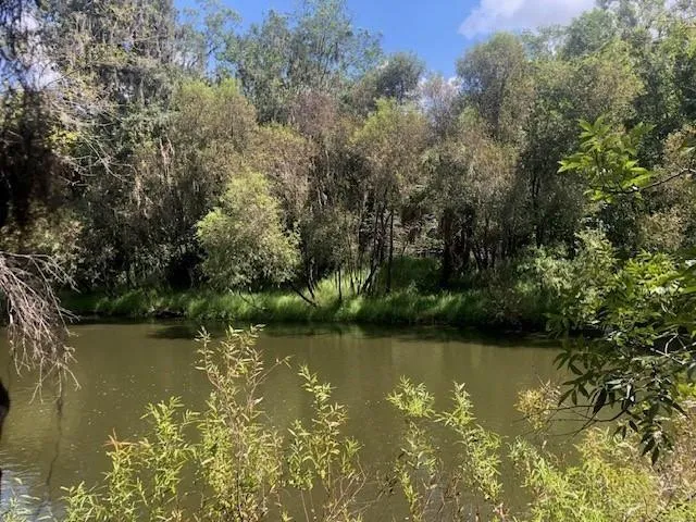 a view of lake with green space