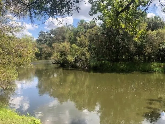 $49,500 | 0 Us Hwy 17, Wauchula, FL 33873