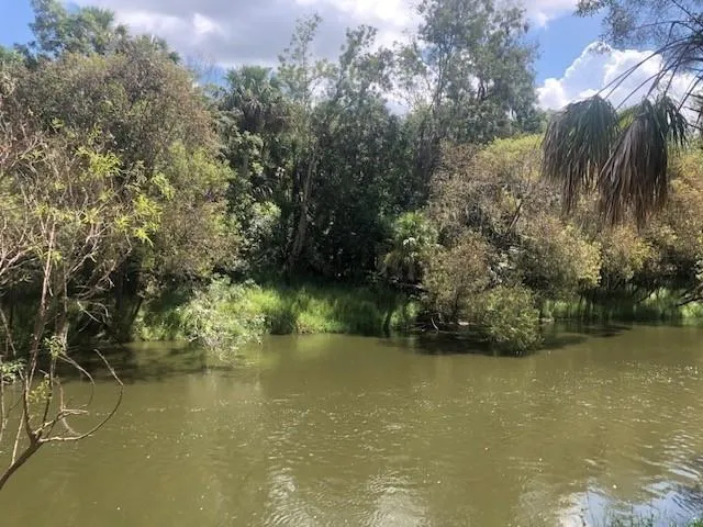 $49,500 | 0 Us Hwy 17, Wauchula, FL 33873