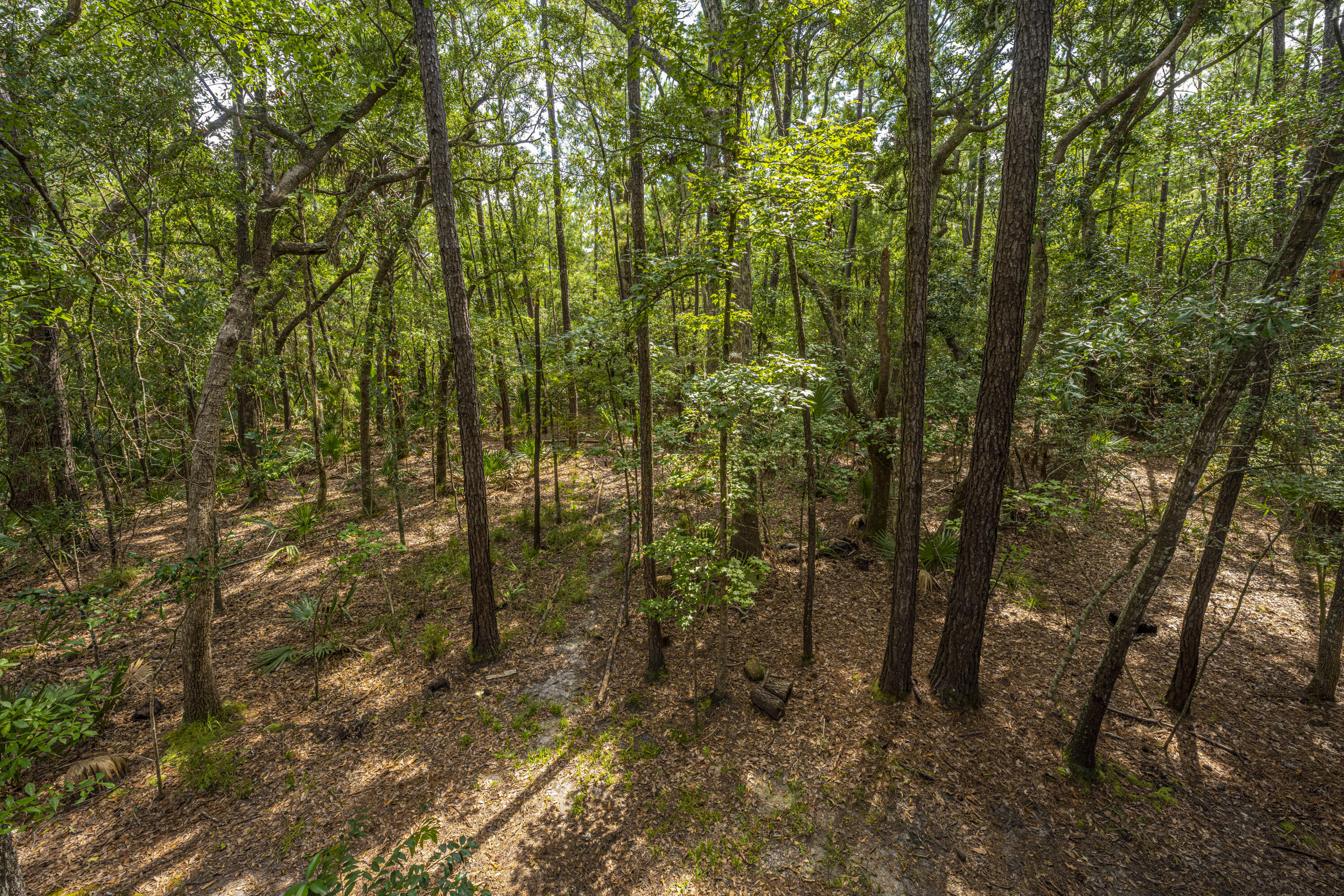 3605 Deer Creek Road Mount Pleasant, SC 29466 - Photo 2 of 37 DSC_8799