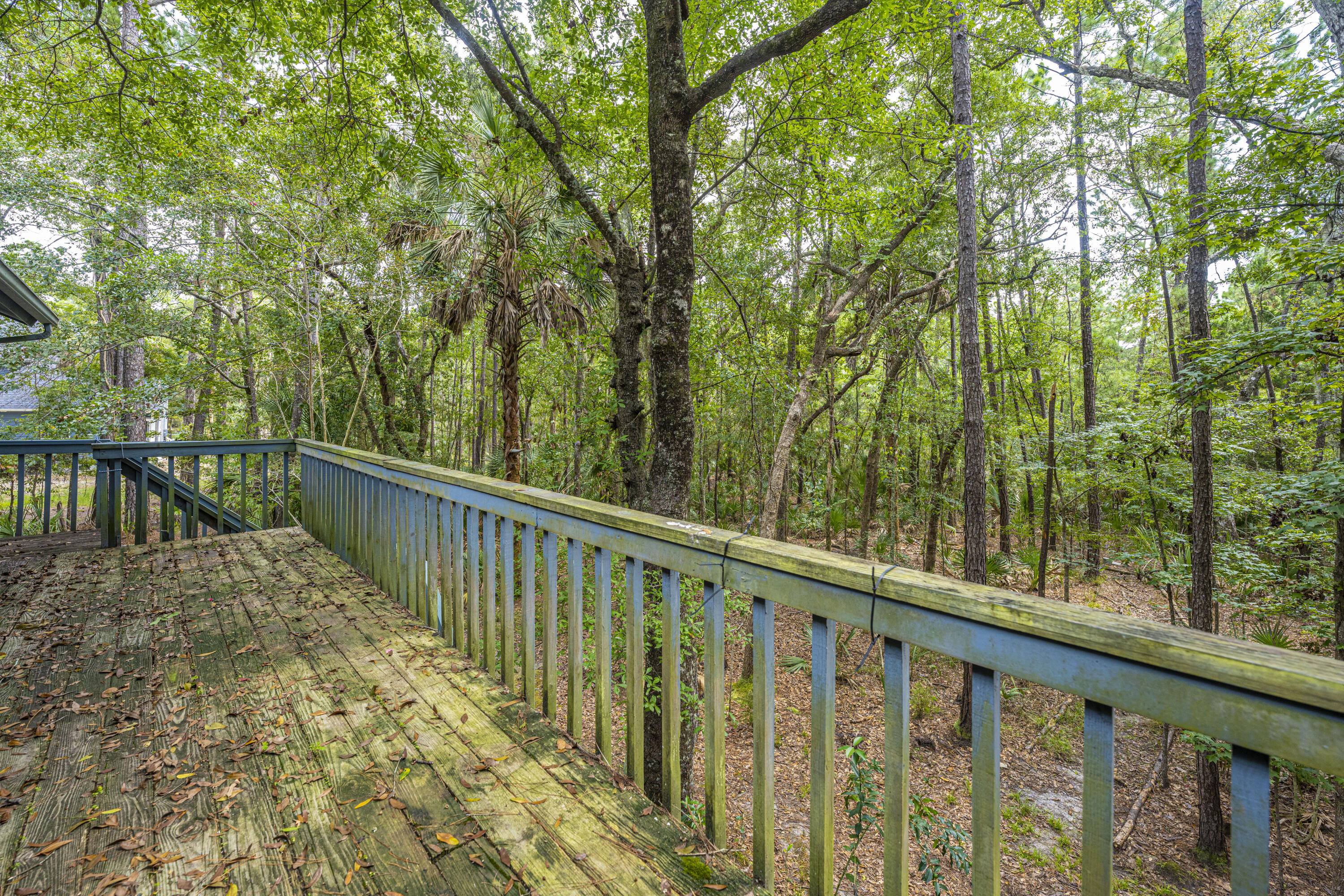 3605 Deer Creek Road Mount Pleasant, SC 29466 - Photo 26 of 37 DSC_8798