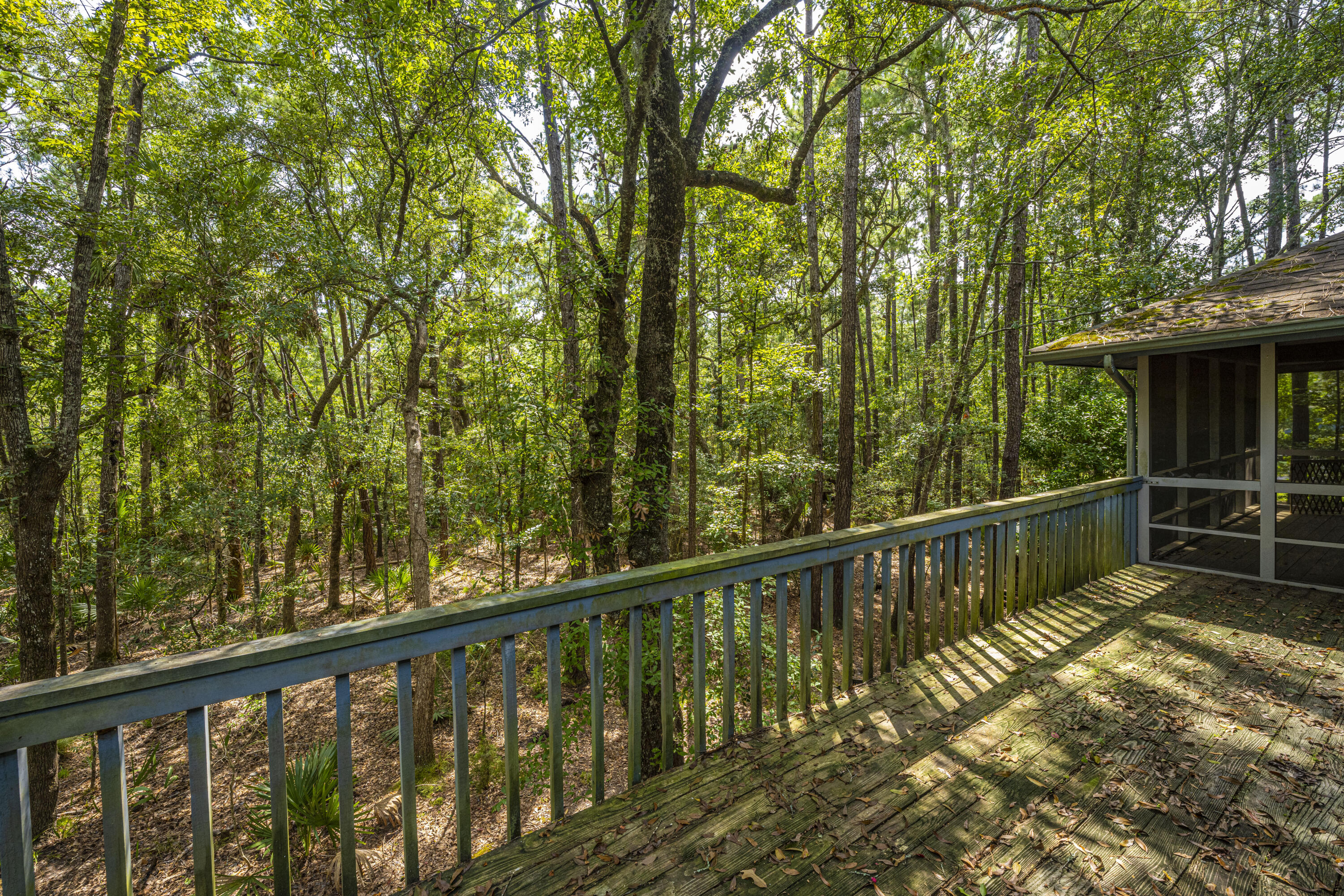 3605 Deer Creek Road Mount Pleasant, SC 29466 - Photo 27 of 37 DSC_8800