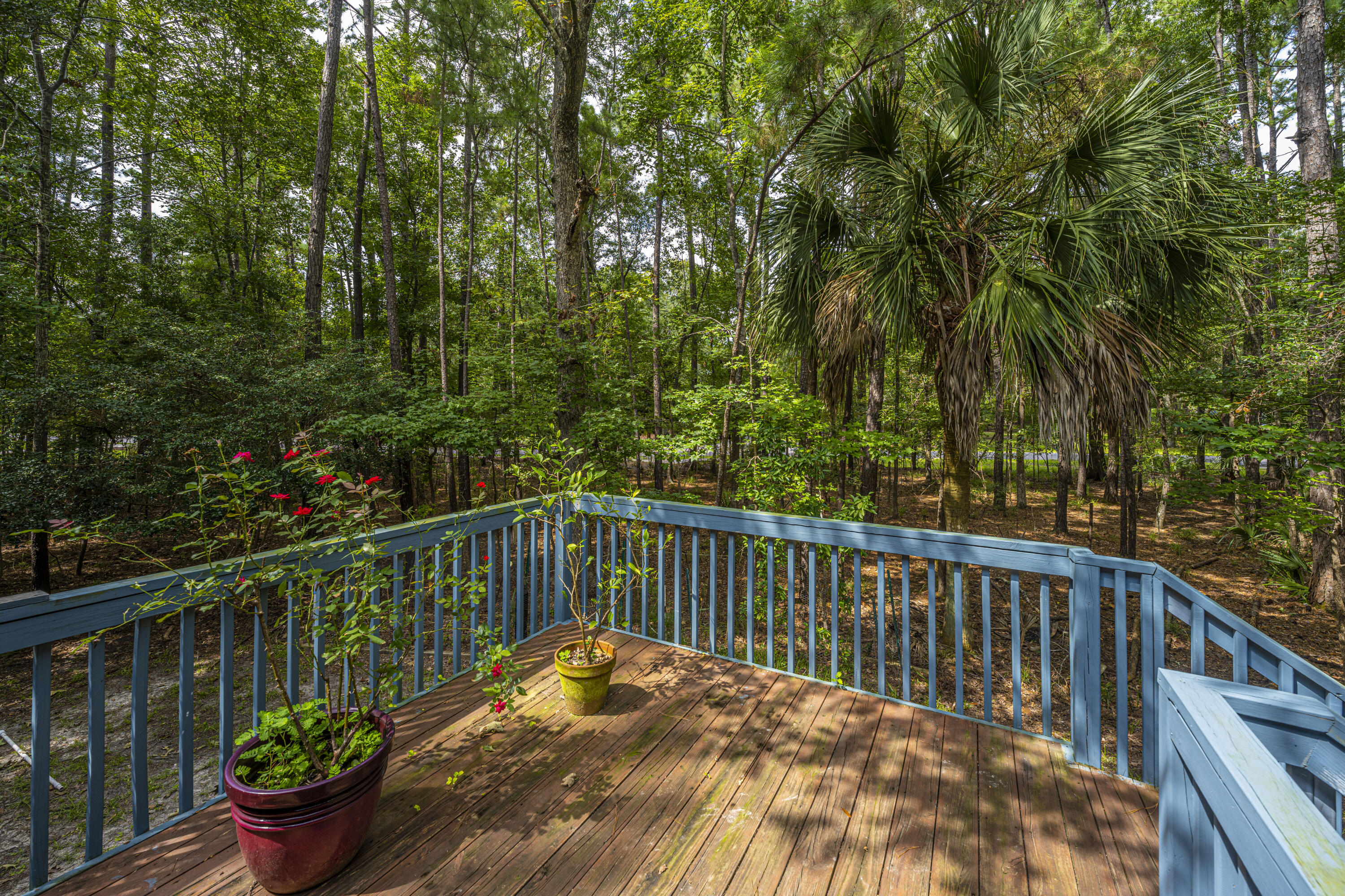 3605 Deer Creek Road Mount Pleasant, SC 29466 - Photo 4 of 37 DSC_8772