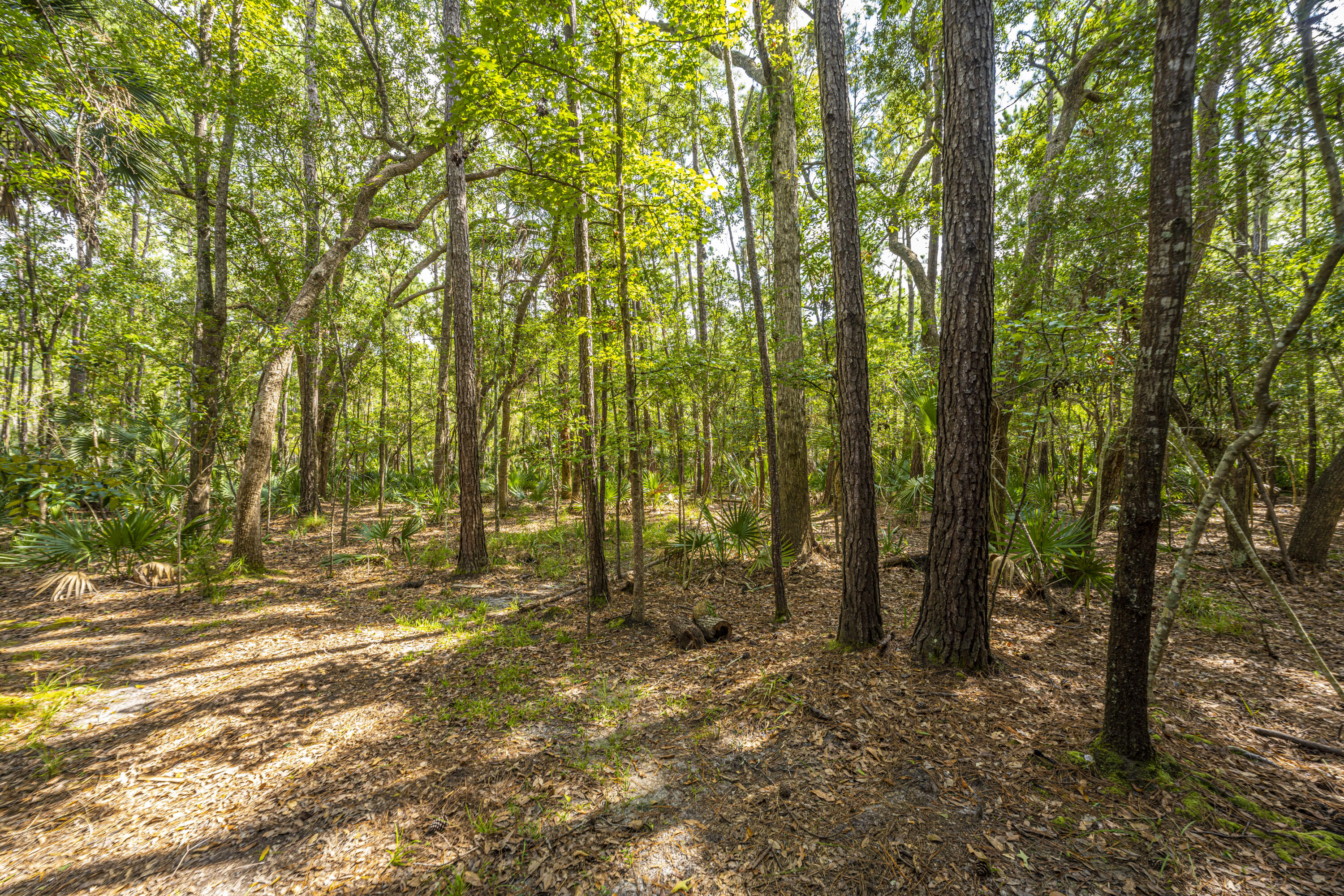 3605 Deer Creek Road Mount Pleasant, SC 29466 - Photo 35 of 37 DSC_8810
